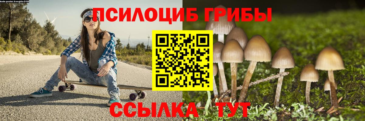 Майский  Псилоцибиновые грибы Psilocybe  Вход с VPN 