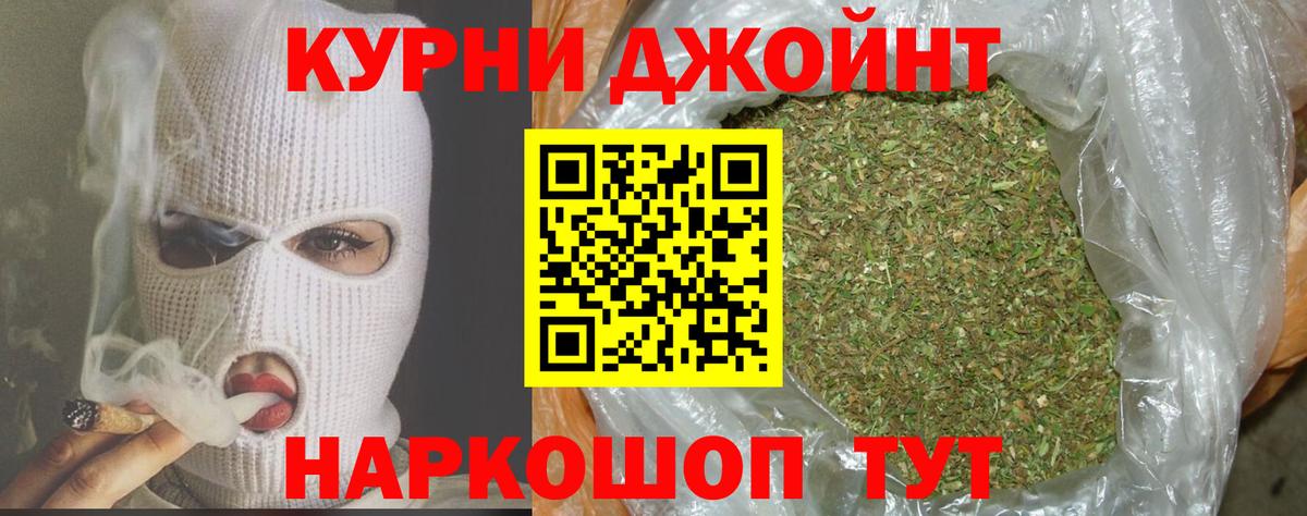 Канабис конопля Майский